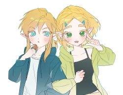 link from the legend of zelda by didi en ilu
