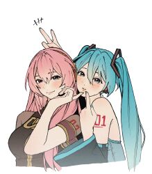 hatsune miku from vocaloid