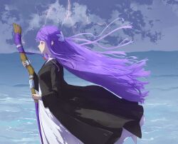 fern (sousou no frieren) from sousou no frieren