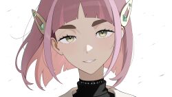 lacey (pokemon) from pokemon