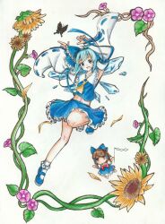 cirno from touhou