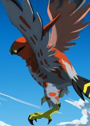 talonflame from pokemon by kou11021301
