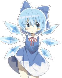 cirno from touhou