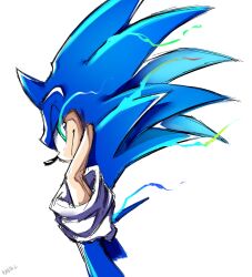 sonic the hedgehog from sonic (series)