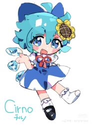 cirno from touhou