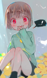 chara (undertale) from undertale