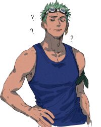 roronoa zoro from one piece