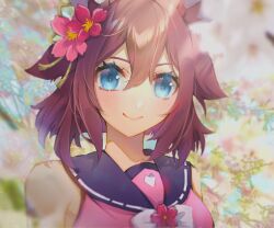 sakura chiyono o (umamusume) from umamusume