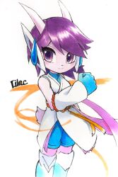 sash lilac from freedom planet