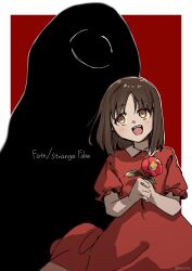 kuruoka tsubaki from fate/strange fake