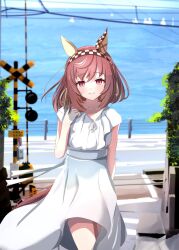 buena vista (umamusume) from umamusume