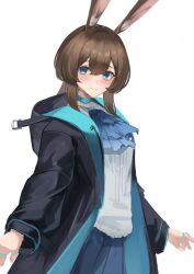 amiya (arknights) from arknights