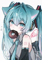 hatsune miku from vocaloid