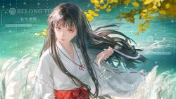 kikyou (inuyasha) from inuyasha