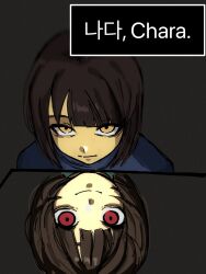 chara (undertale) from undertale