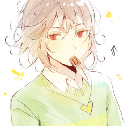 chara (undertale) from undertale