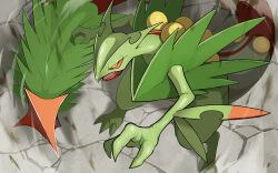 mega sceptile from pokemon