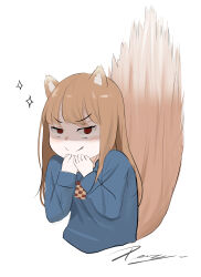 holo from spice and wolf
