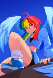 rainbow dash from my little pony