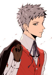 sanada akihiko from persona