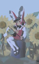 hakurei reimu from touhou