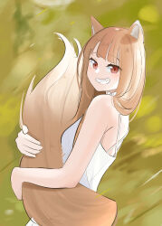holo from spice and wolf