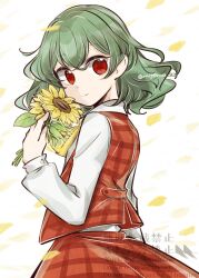 kazami yuuka from touhou by tama (hiroshige 36)