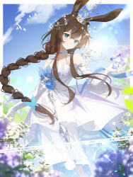 amiya (arknights) from arknights