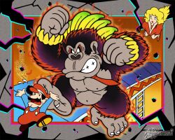 donkey kong from donkey kong (series)