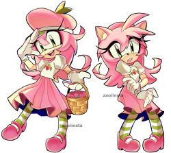 amy rose from sonic (series)