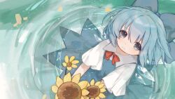 cirno from touhou