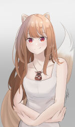 holo from spice and wolf