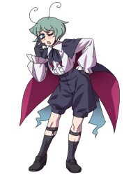 wriggle nightbug from touhou