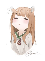 holo from spice and wolf