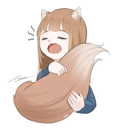 holo from spice and wolf