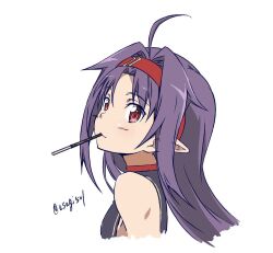 yuuki (sao) from sword art online