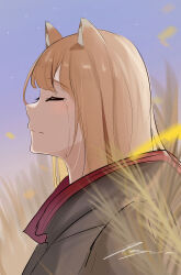 holo from spice and wolf