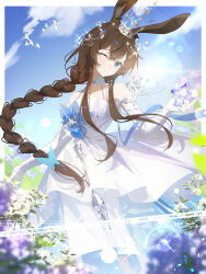 amiya (arknights) from arknights