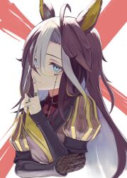 dream journey (reminder of dreamland) (umamusume) from umamusume by o ko ge2024