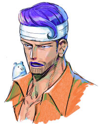 iceburg from one piece