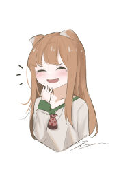 holo from spice and wolf