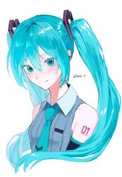 hatsune miku from vocaloid