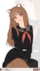 holo from spice and wolf