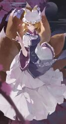 yakumo ran from touhou