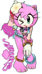 amy rose from sonic (series)
