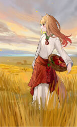 holo from spice and wolf
