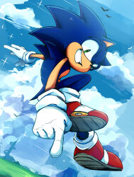 sonic the hedgehog from sonic (series)