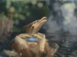 floatzel from pokemon