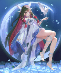 columbina (genshin impact) from genshin impact