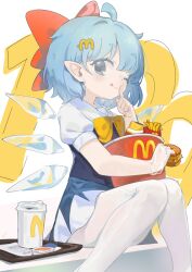 cirno from mcdonald's